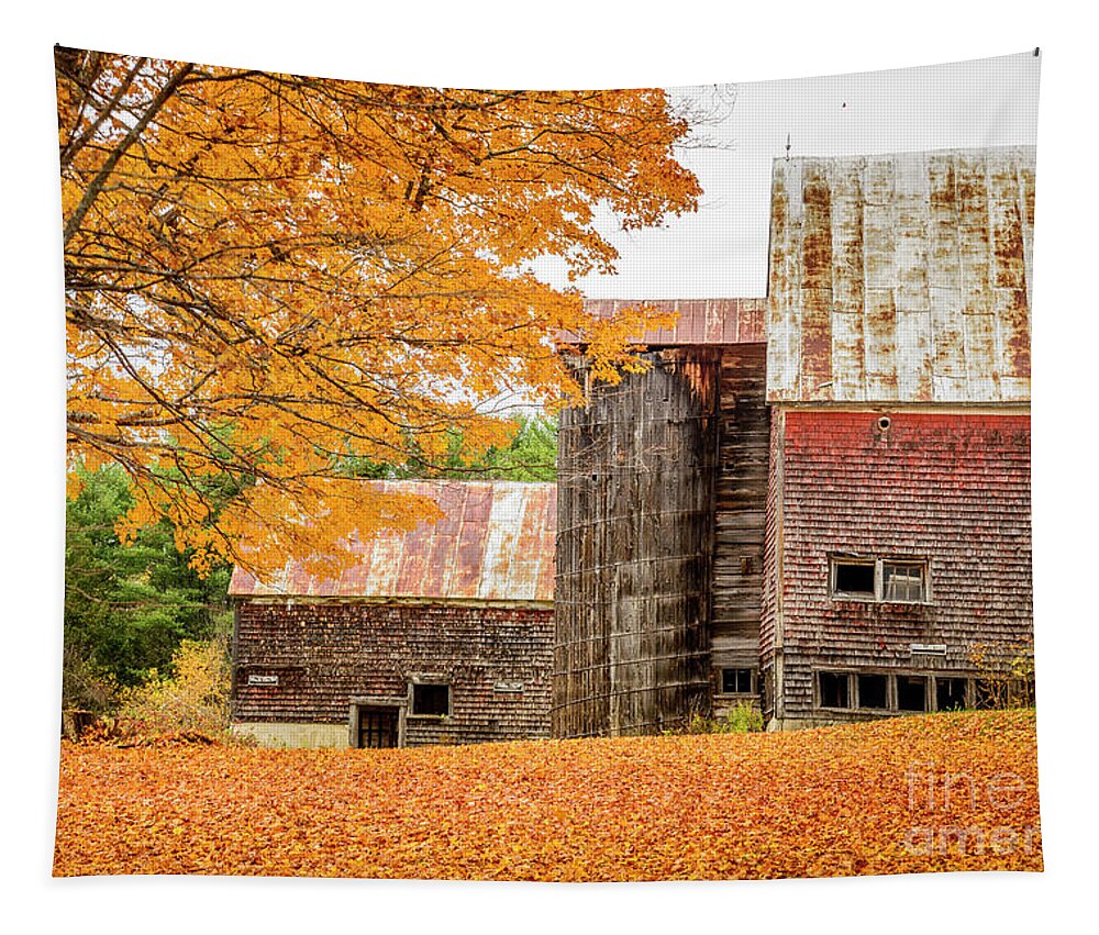 Old Barn Tapestry featuring the photograph The Old Barn #3 by Alana Ranney