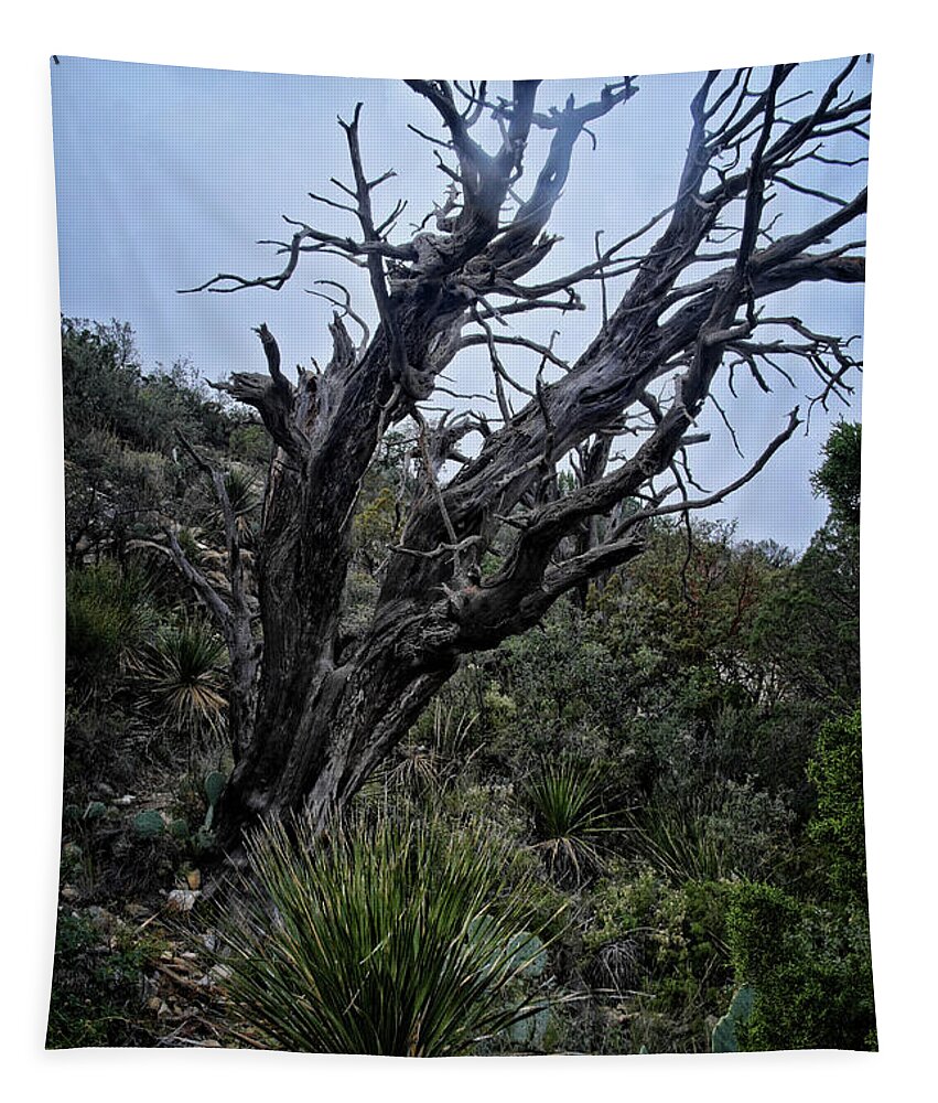 Tree Tapestry featuring the photograph Tree and Shrubs at McKittrick #2 by George Taylor