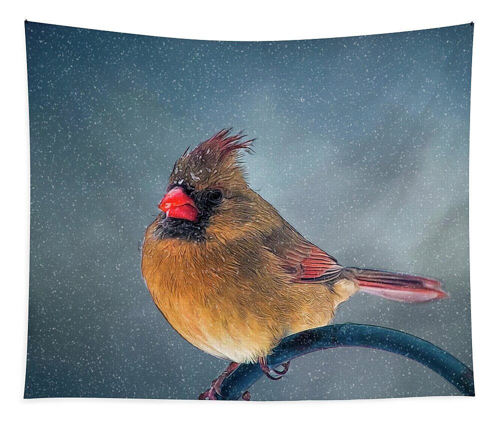 Bird Tapestry featuring the photograph Winter Cardinal by Cathy Kovarik