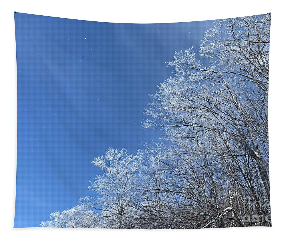  Tapestry featuring the photograph Winter Wonderland #2 by Annamaria Frost