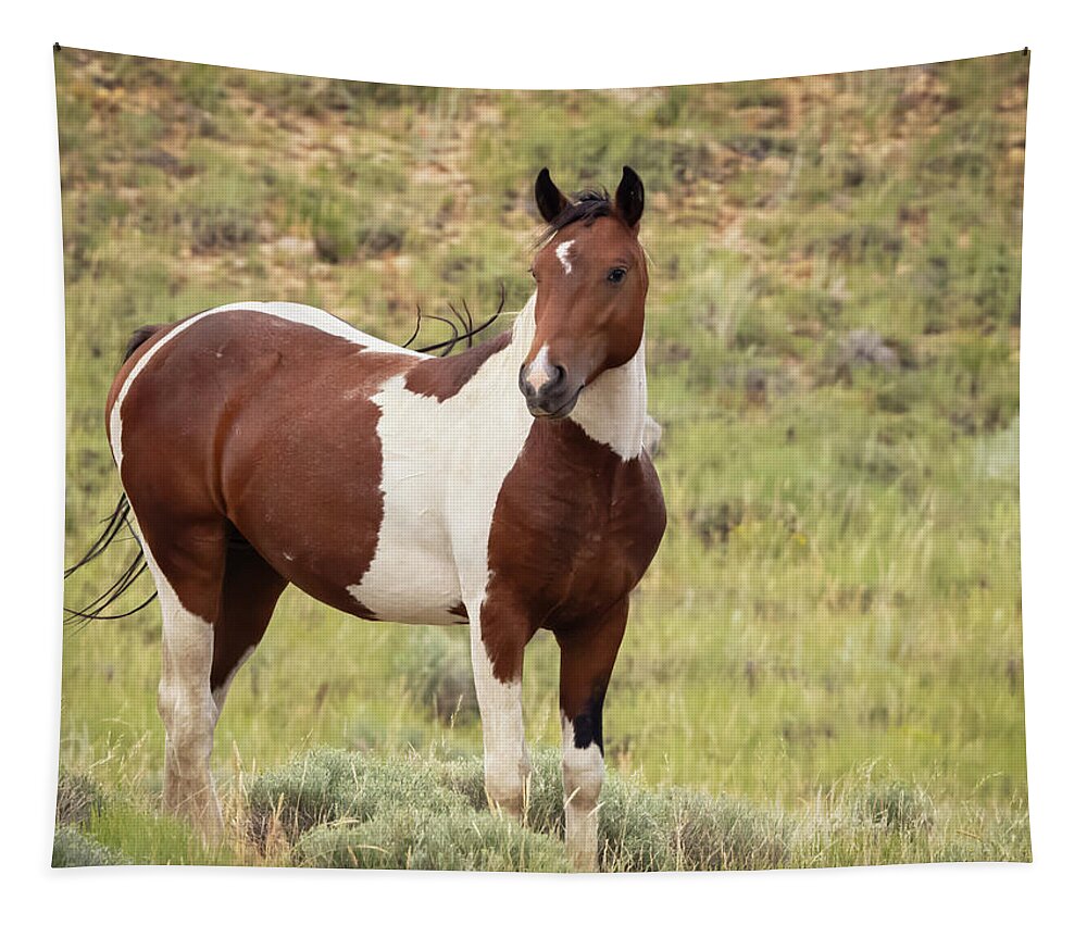 Horse Tapestry featuring the photograph Wild Horses #20 by Laura Terriere