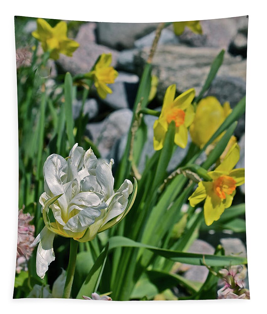 Tulips Tapestry featuring the photograph 2020 Acewood Tulips, Hyacinth and Daffodils by Janis Senungetuk