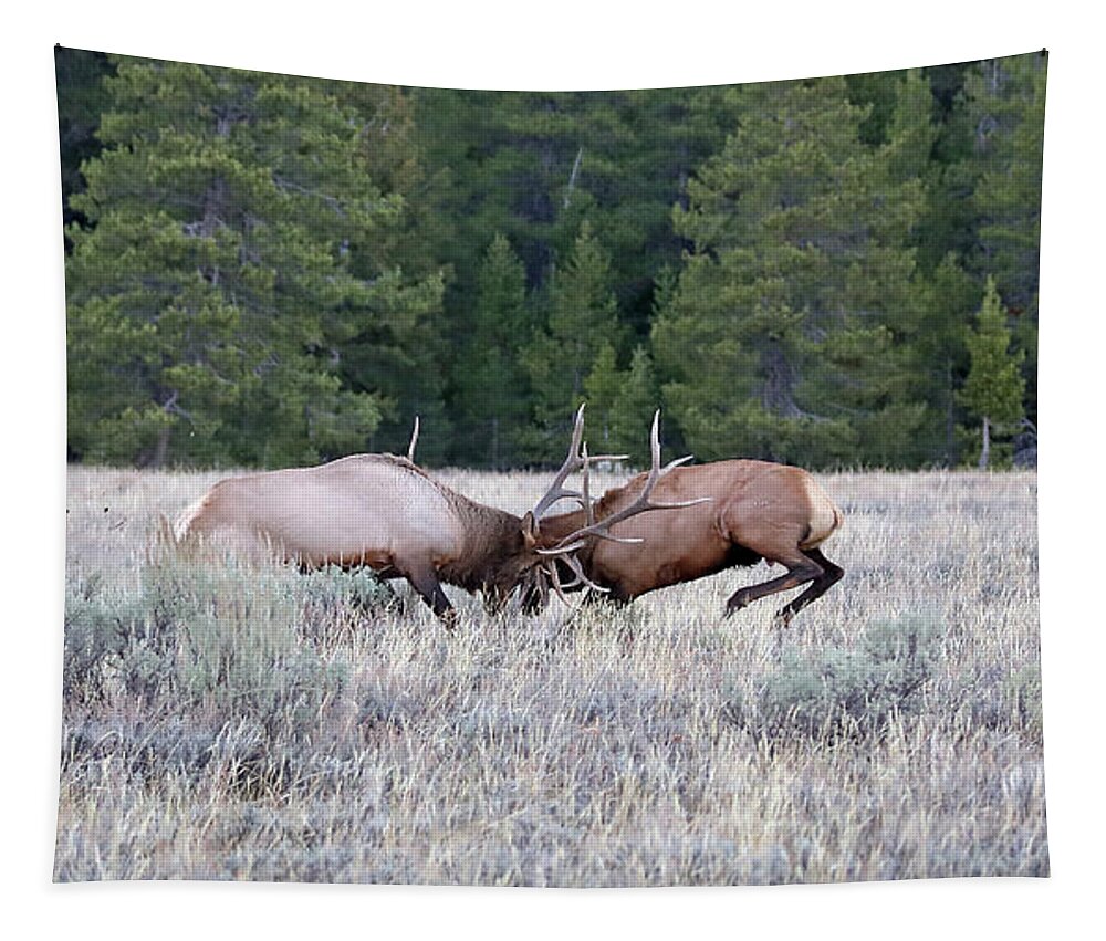 Elk Tapestry featuring the photograph 2020 Bull Elk by Jean Clark