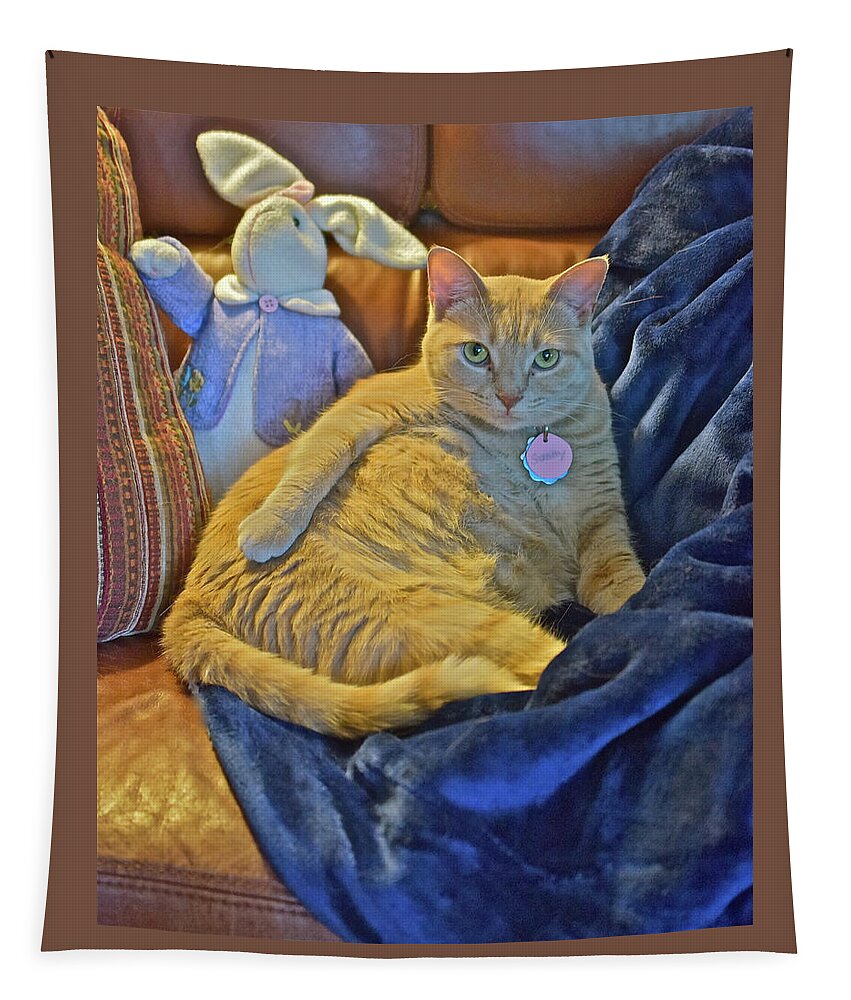 Tabby Cat Tapestry featuring the photograph 2020 Interrupted by Janis Senungetuk