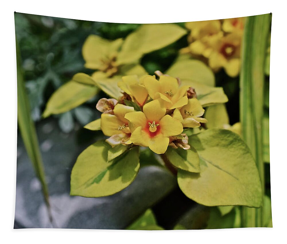 Flowers Tapestry featuring the photograph 2020 Mid June Garden Container 1 by Janis Senungetuk