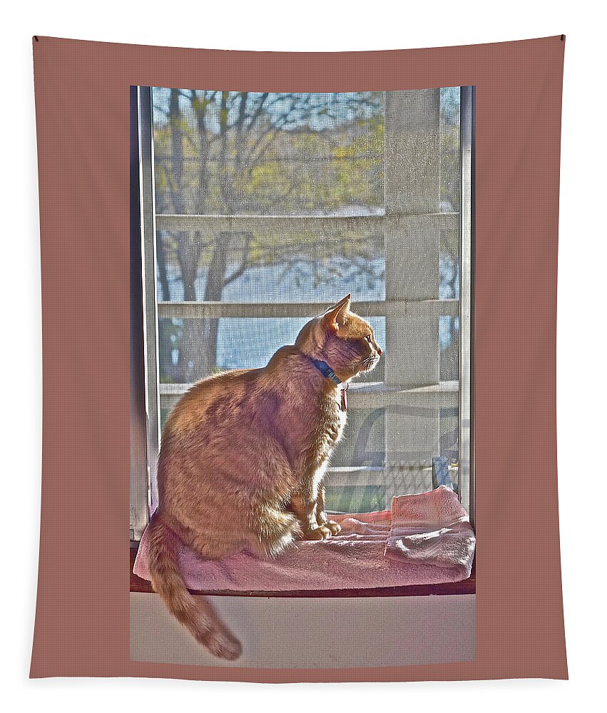 Tabby Cat Tapestry featuring the photograph 2021 End of October Looking Out by Janis Senungetuk