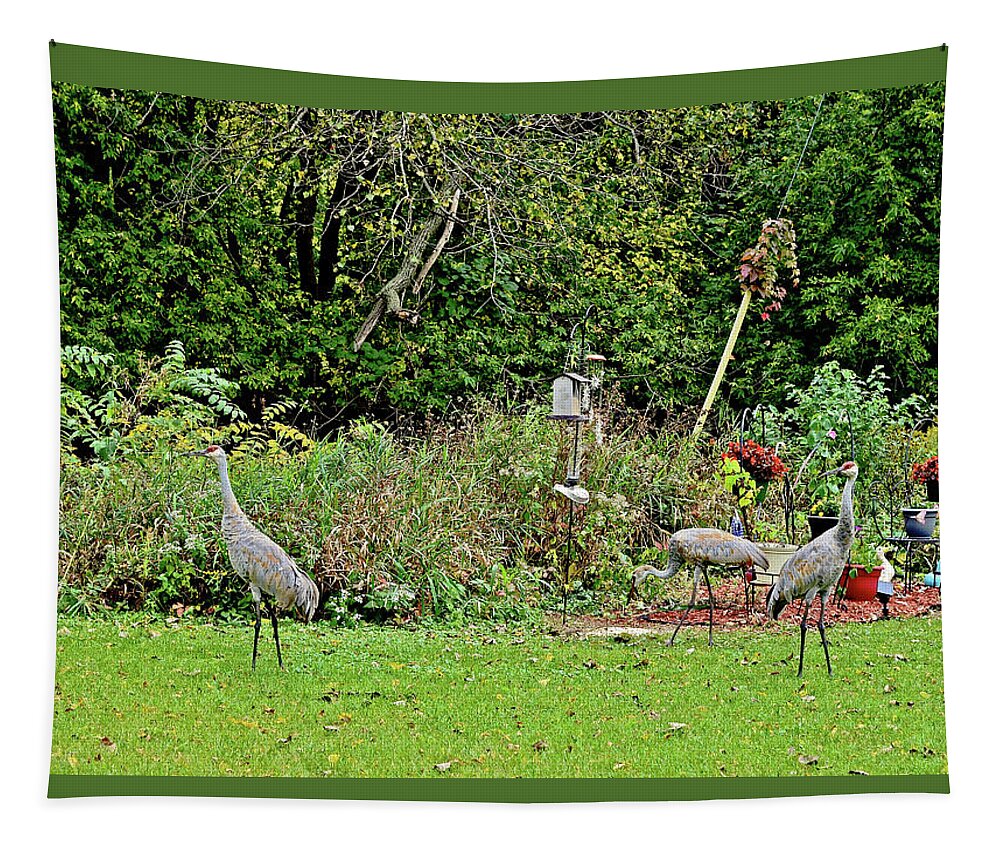 Sandhill Cranes; Backyard; Birds; Tapestry featuring the photograph 2021 Fall Sandhill Cranes 2 by Janis Senungetuk