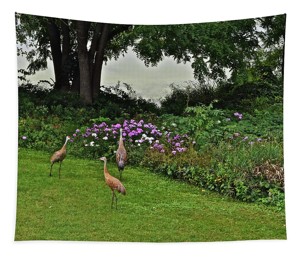 Sandhill Cranes Tapestry featuring the photograph 2021 Sandhill Crane Family 3 by Janis Senungetuk
