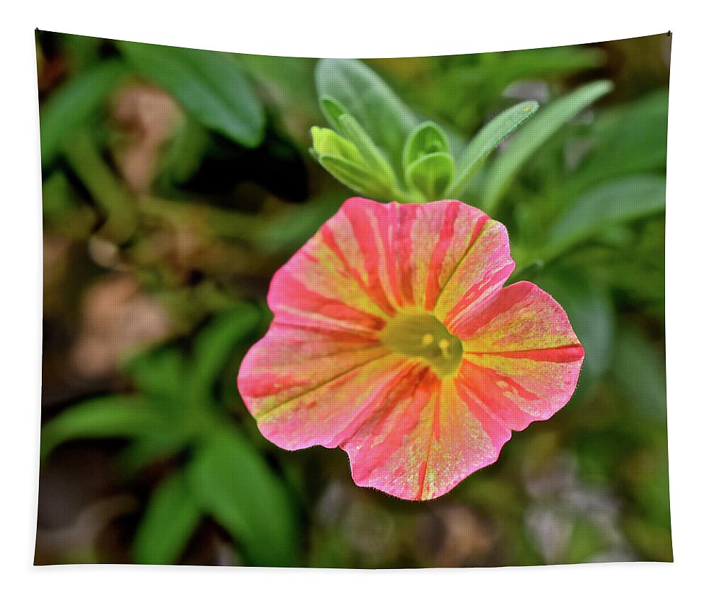 Flowers Tapestry featuring the photograph 2021 Tropical Sunrise Greeting by Janis Senungetuk