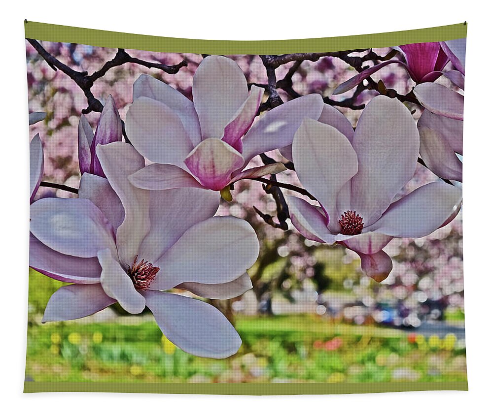 Magnolia Tapestry featuring the photograph 2022 Vernon Magnolia 1 by Janis Senungetuk