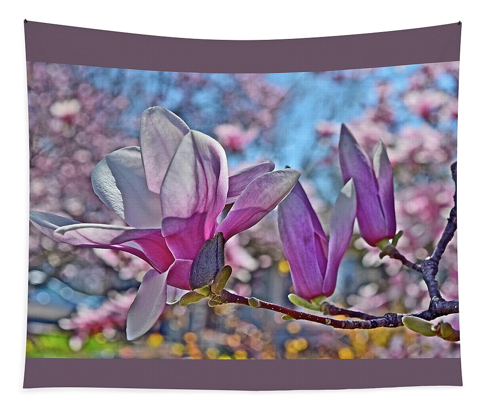 Magnolia Tapestry featuring the photograph 2022 Vernon Magnolia Neighbor 2 by Janis Senungetuk