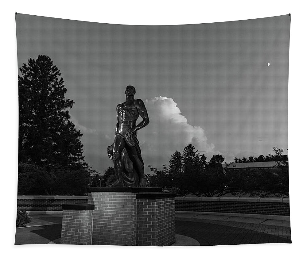 Spartan Staue Night Tapestry featuring the photograph Spartan statue at night on the campus of Michigan State University in East Lansing Michigan #27 by Eldon McGraw