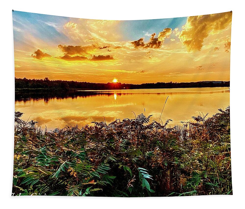  Tapestry featuring the photograph Rochester #28 by John Gisis