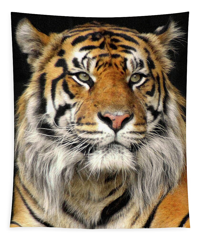 Bengal Tapestry featuring the photograph Bengal Tiger #3 by Doc Braham