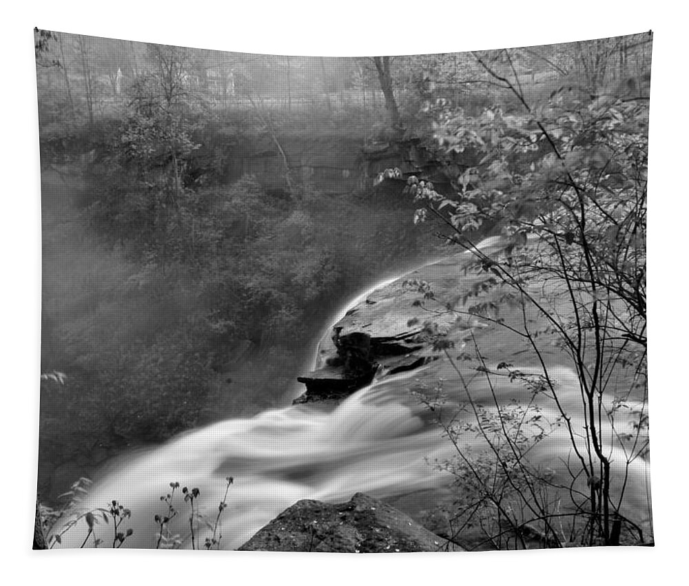  Tapestry featuring the photograph Brandywine Falls by Brad Nellis