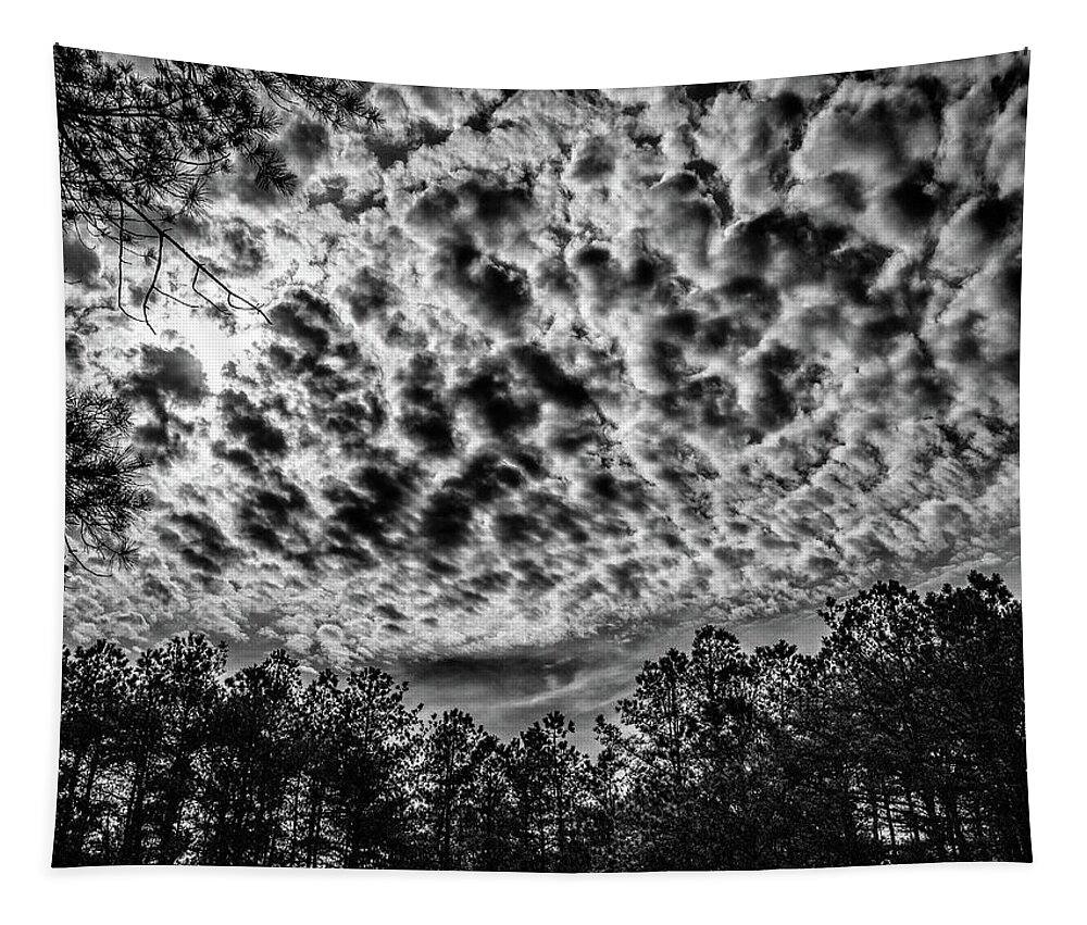 Art Tapestry featuring the photograph Cloud Play by Louis Dallara
