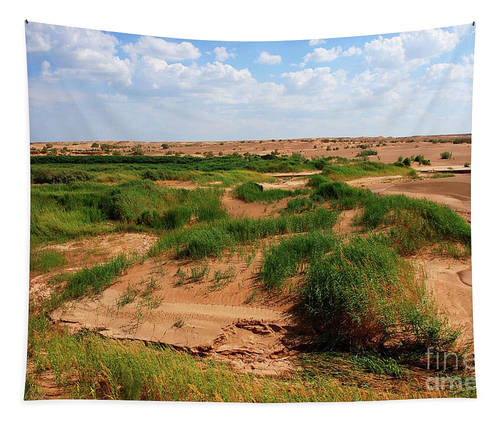 Colors Of Gobi Desert Tapestry featuring the photograph Colors of Gobi desert #3 by Elbegzaya Lkhagvasuren