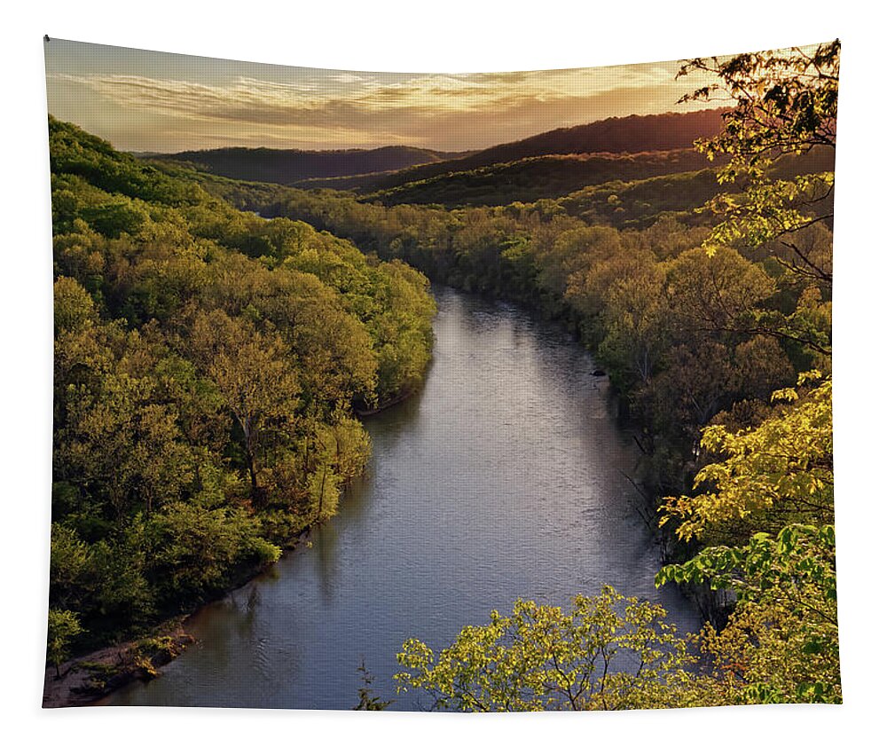 River Tapestry featuring the photograph Current River from Bee Bluff #3 by Robert Charity