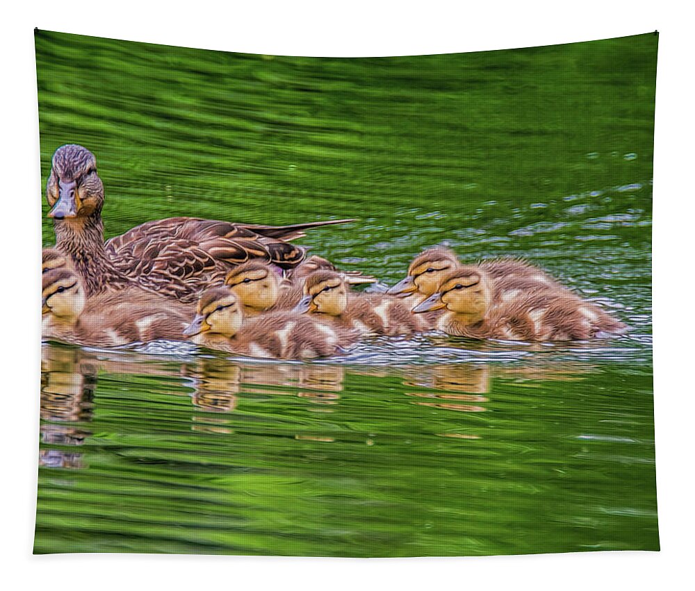 Ducklings Tapestry featuring the photograph Family Outing by Cathy Kovarik