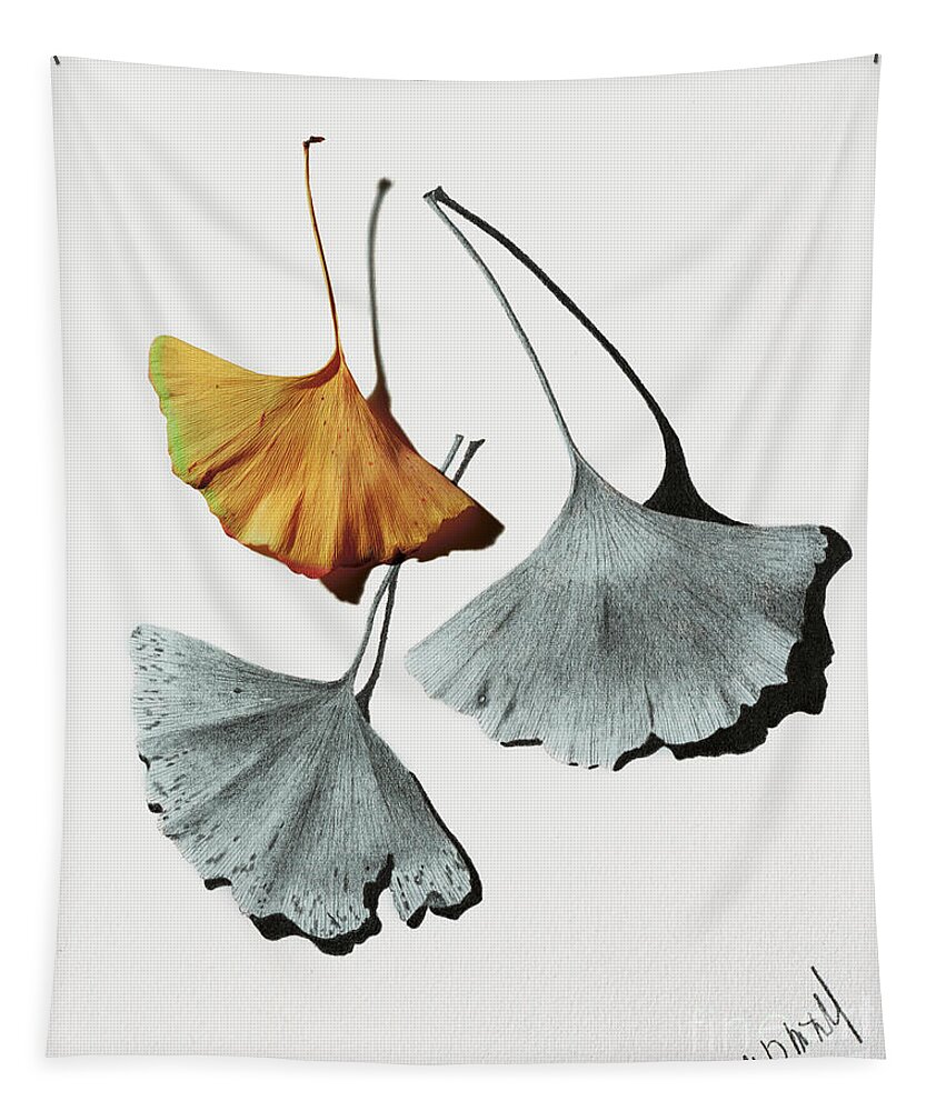 Ginkgo Leaves Tapestry featuring the mixed media Ginkgo Leaves #3 by Garry McMichael