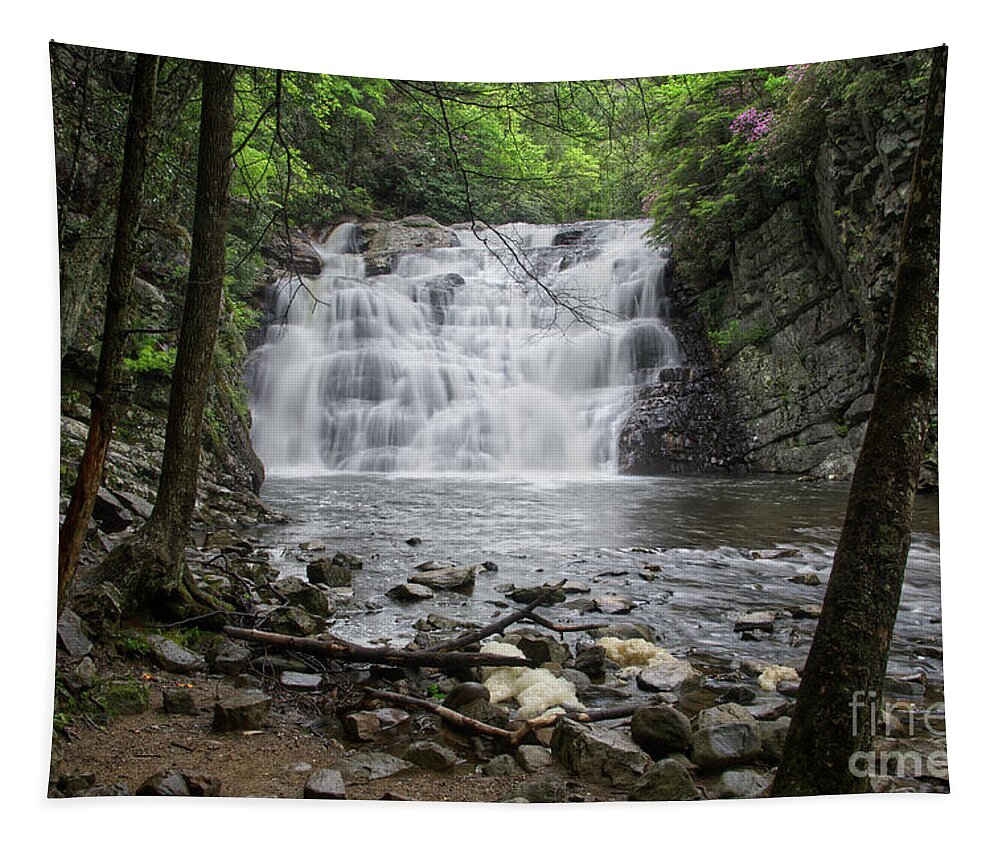 Laurel Falls Tapestry featuring the photograph Laurel Falls 2 #3 by Phil Perkins