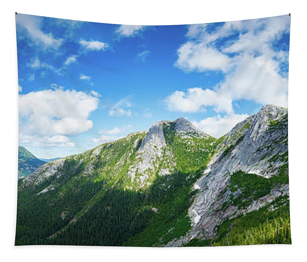 Canada Tapestry featuring the photograph Mountain Landscape by Rick Deacon