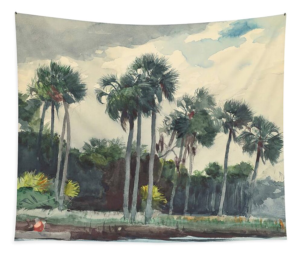Winslow Homer Tapestry featuring the drawing Red Shirt, Homosassa, Florida by Winslow Homer