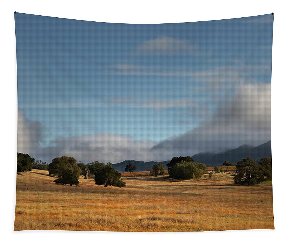  Tapestry featuring the photograph Santa Margarita #4 by Lars Mikkelsen