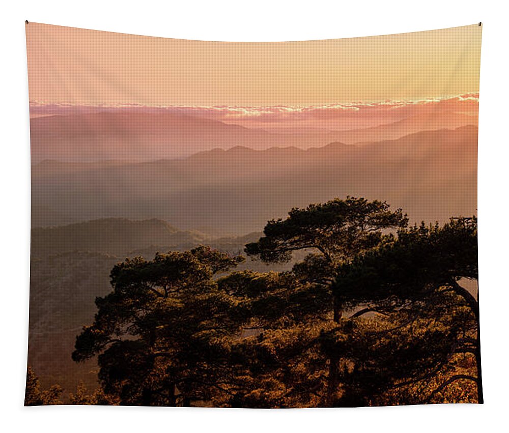 Dawn Tapestry featuring the photograph Silhouette of a forest pine tree during blue hour with bright sun at sunset. by Michalakis Ppalis