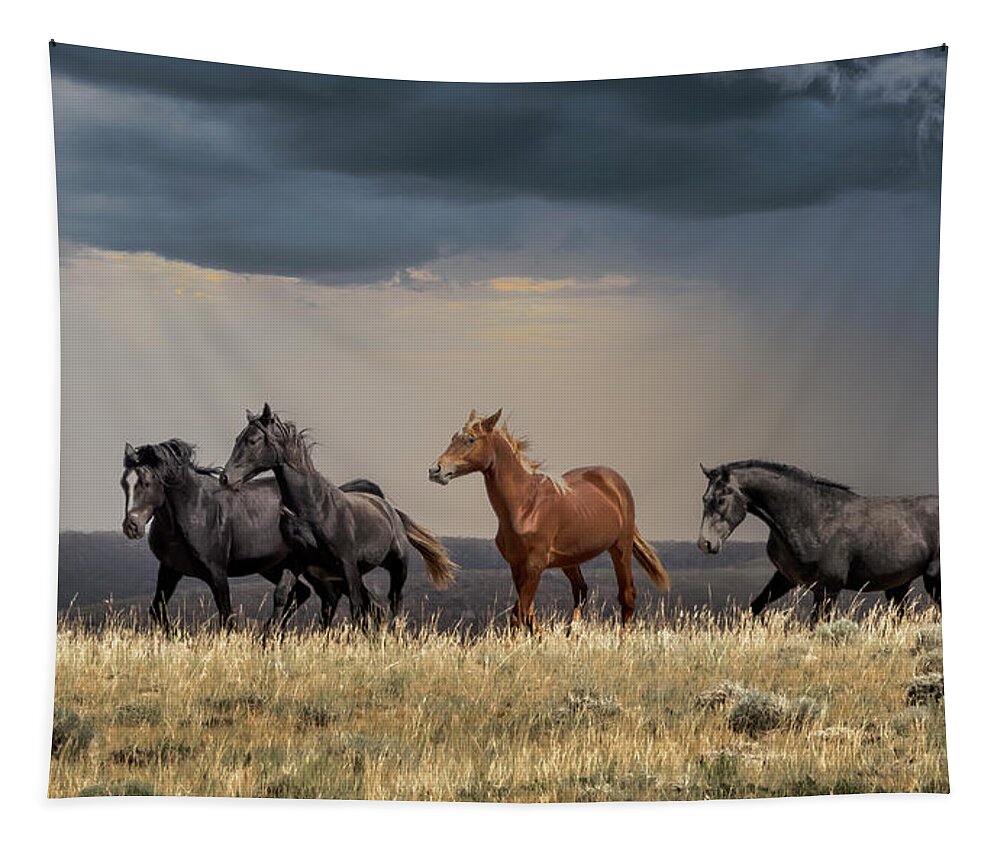 Horse Tapestry featuring the photograph Wild Horses #33 by Laura Terriere