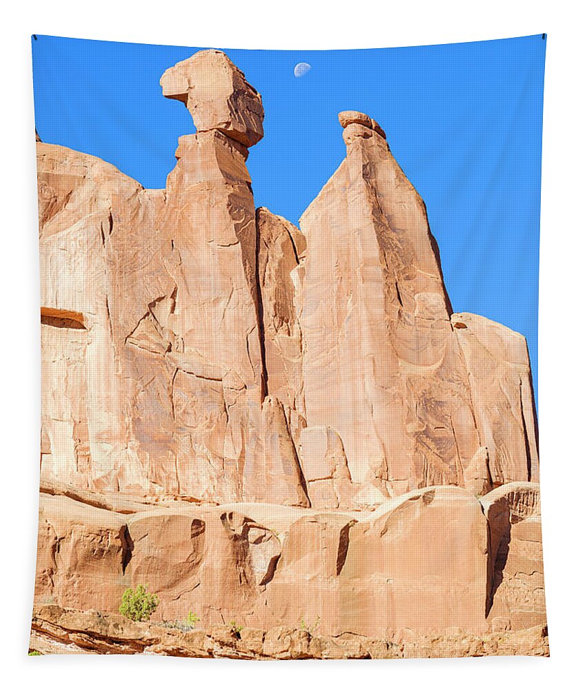 Arches National Park Tapestry featuring the photograph Arches National Park #37 by Raul Rodriguez