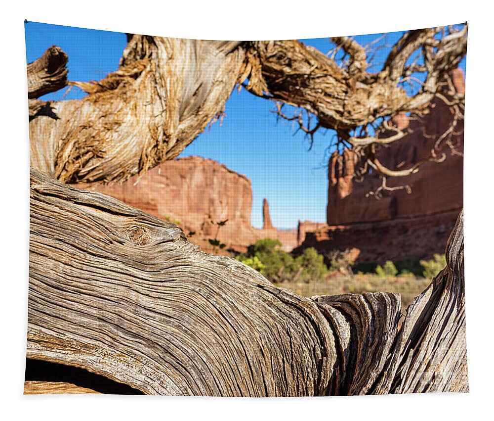 Arches National Park Tapestry featuring the photograph Arches National Park #39 by Raul Rodriguez