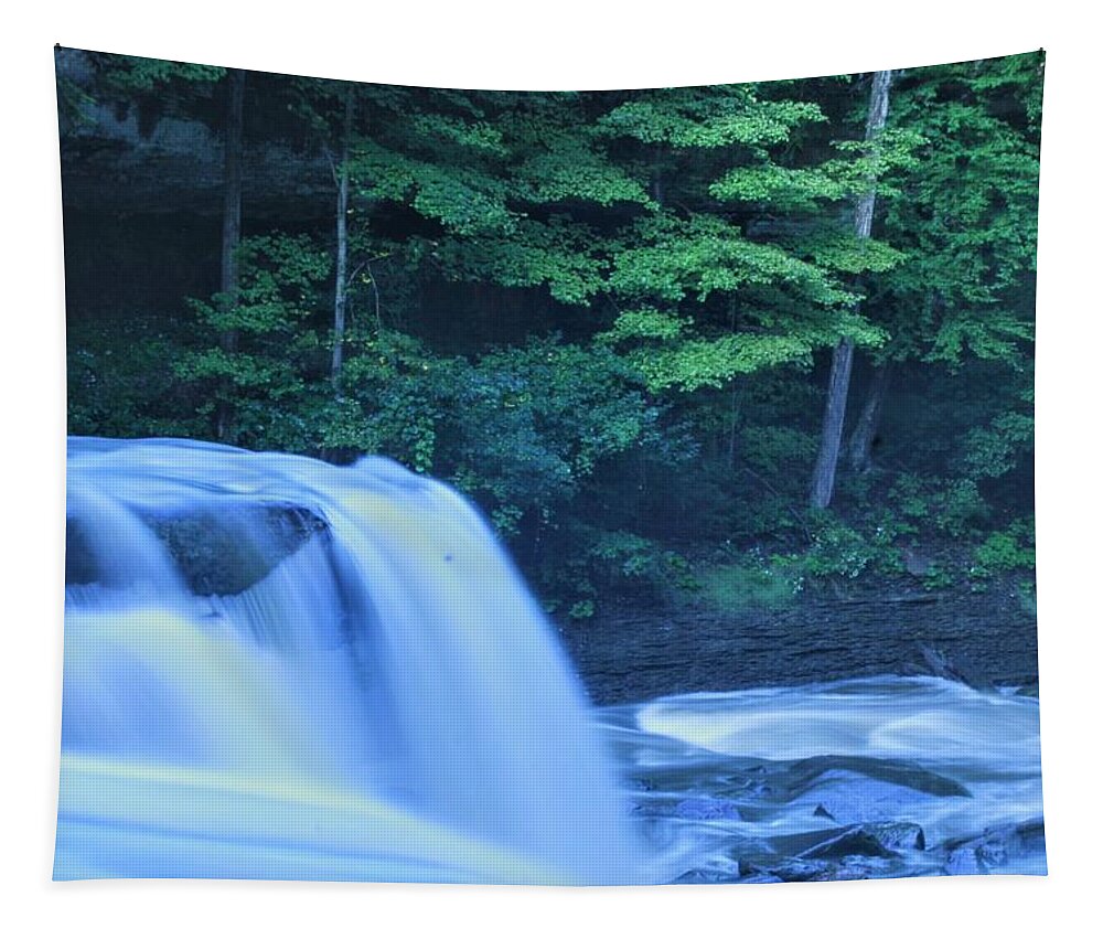  Tapestry featuring the photograph Great Falls by Brad Nellis
