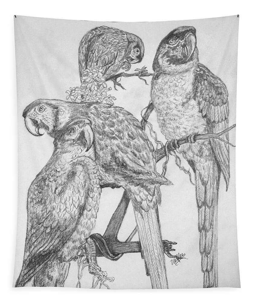 Parrots Tapestry featuring the drawing 4 Parrots by Vallee Johnson