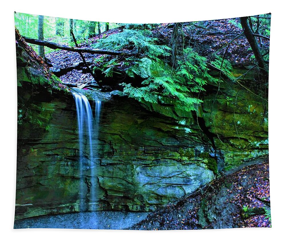 Waterfall Tapestry featuring the photograph Secret Falls by Brad Nellis