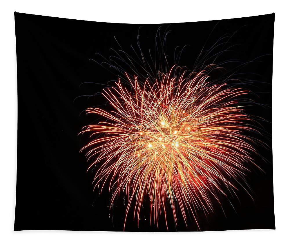 Fireworks Tapestry featuring the photograph Fireworks #50 by George Pennington