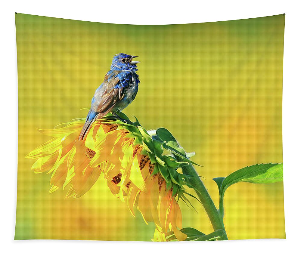 Indigo Bunting Tapestry featuring the photograph An Indigo Bunting Perched on a Sunflower #5 by Shixing Wen