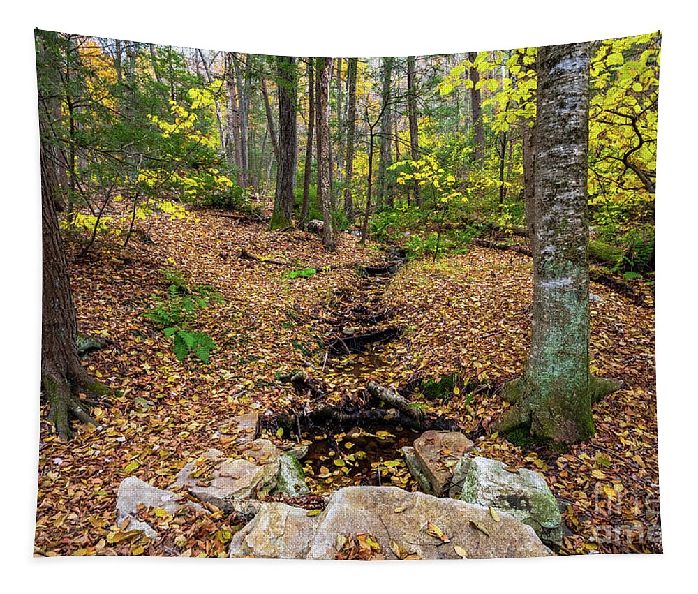 2018 Tapestry featuring the photograph Appalachian Autumn by Stef Ko