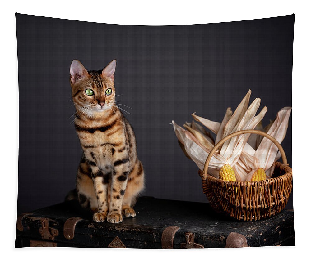 Bengal Tapestry featuring the photograph Bengal Cat Portrait #5 by Nailia Schwarz