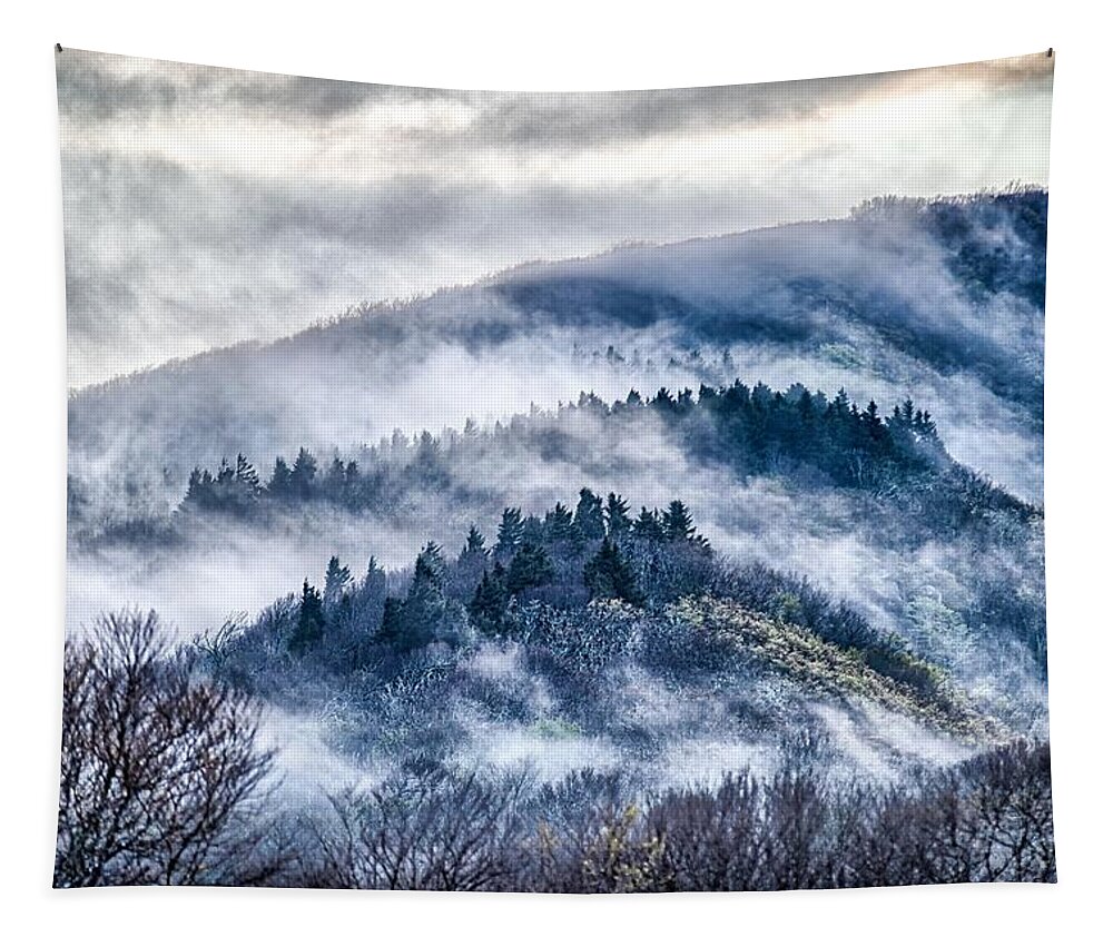 Cowee Tapestry featuring the photograph Early morning sunrise over blue ridge mountains #5 by Alex Grichenko