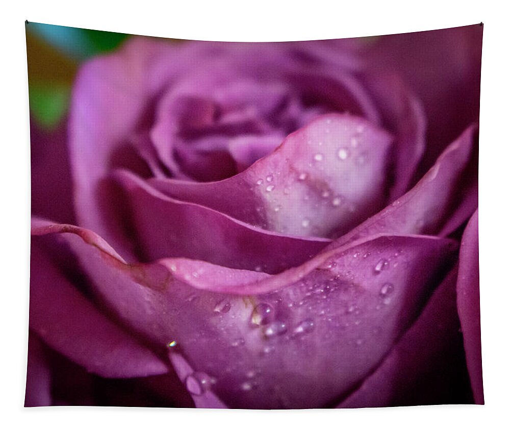 Beauty Tapestry featuring the photograph Magenta Rose Macro #5 by K Bradley Washburn