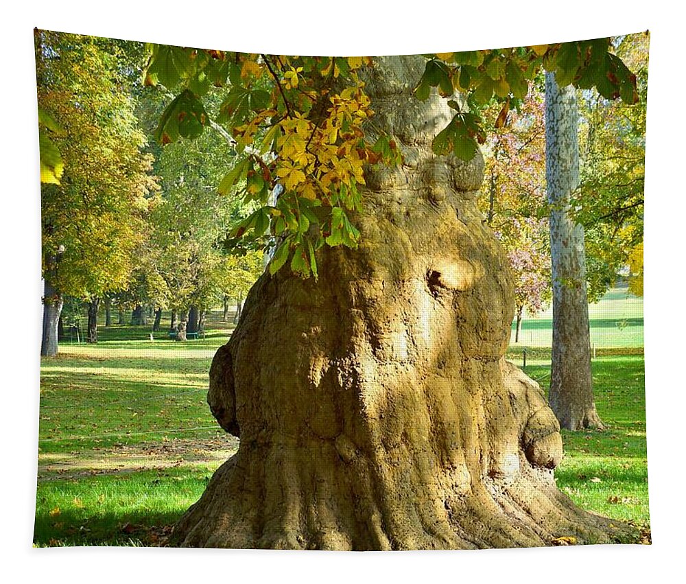 Trees Tapestry featuring the photograph Parco Cavour. Ottobre 2016 #1 by Marco Cattaruzzi