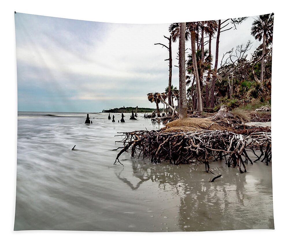 Wildlife Tapestry featuring the photograph Hunting island south carolina beach scenes #50 by Alex Grichenko