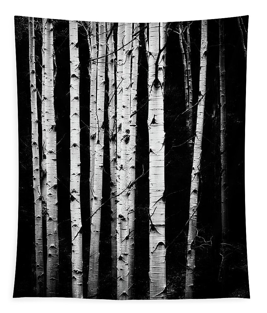 Co Tapestry featuring the photograph Aspen trunks in black and white by Doug Wittrock