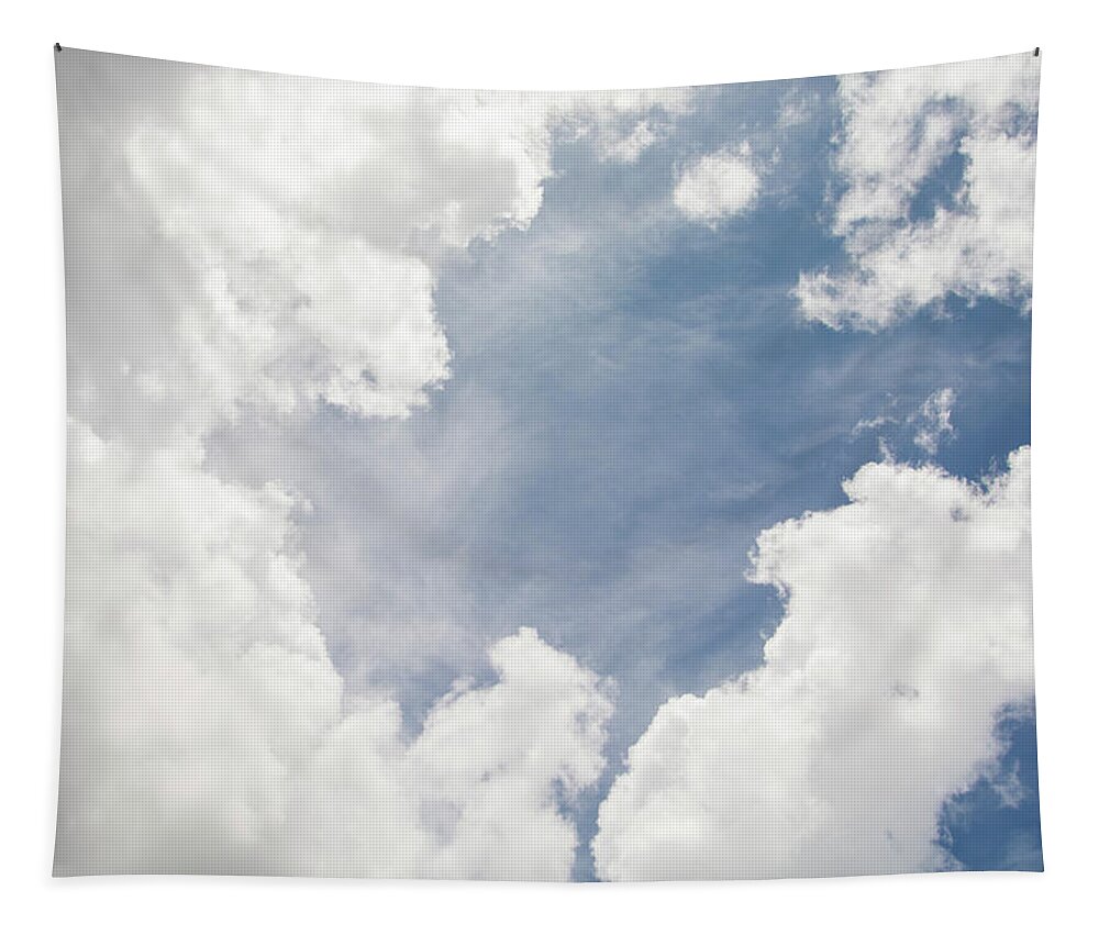 Sky Tapestry featuring the photograph Cloudscape by Carolyn Hutchins