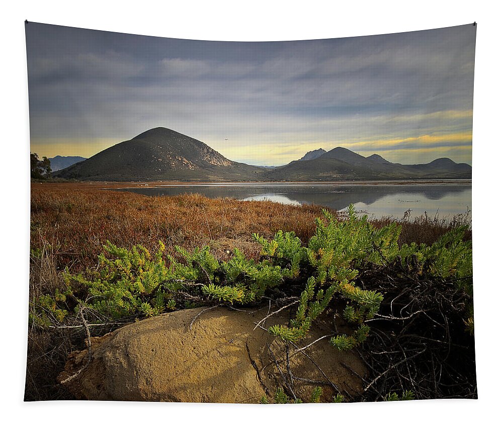  Tapestry featuring the photograph Morro Bay Estuary #6 by Lars Mikkelsen