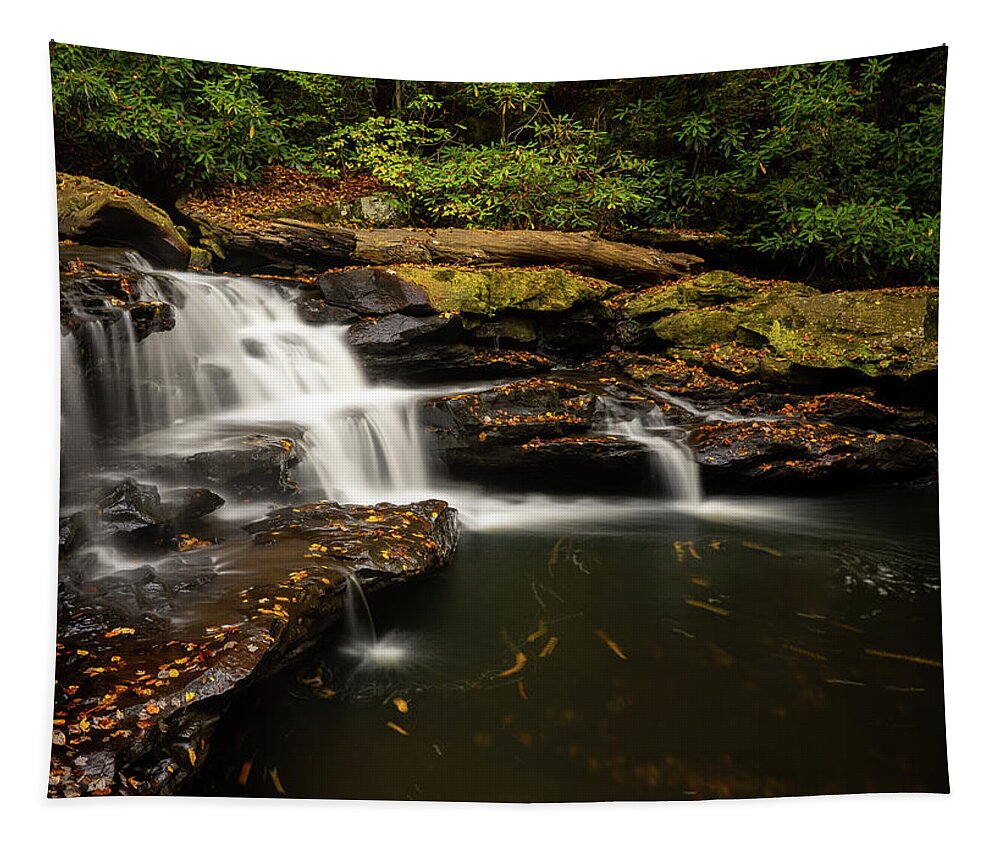 Deckers Creek Tapestry featuring the photograph Waterfall on Deckers Creek near Masontown WV #2 by Steven Heap