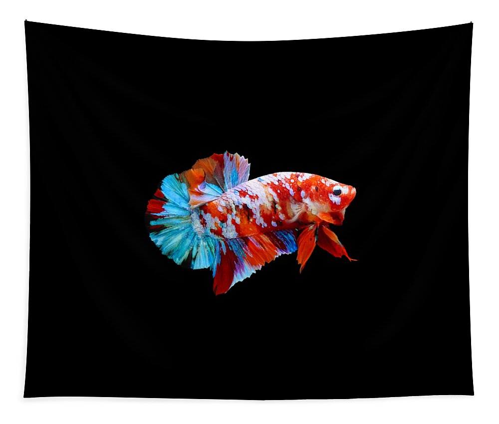 Betta Tapestry featuring the photograph Multicolor Betta Fish #8 by Sambel Pedes