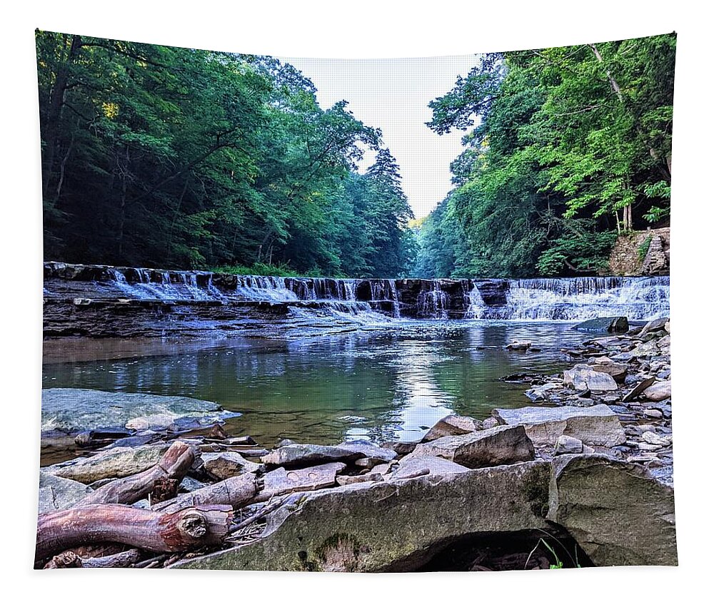 Waterfall Tapestry featuring the photograph Henry Church Falls by Brad Nellis
