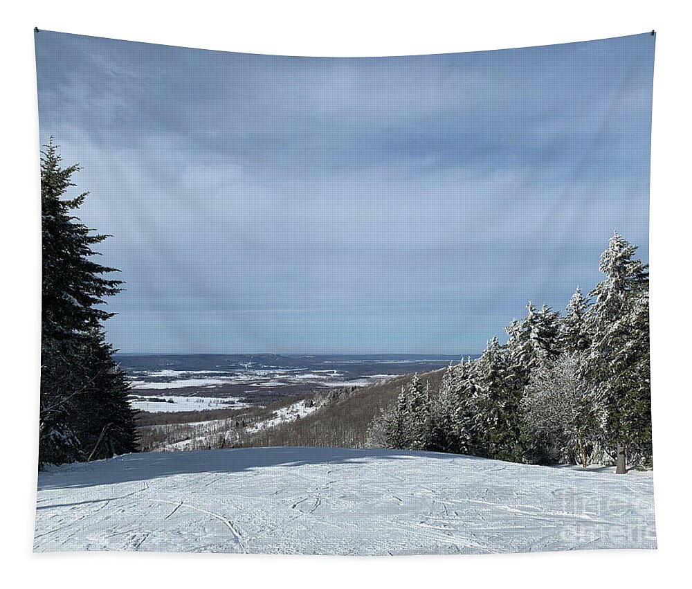  Tapestry featuring the photograph Winter Wonderland by Annamaria Frost